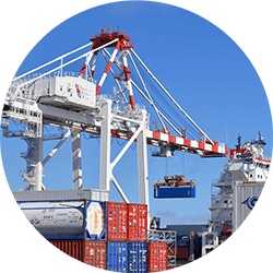 SEEANZ Export Import Icon